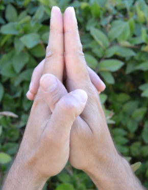 mudra patience yoga cire d'aunis